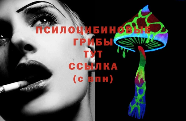 гидропоника Баксан
